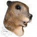 Latex Beaver Mask