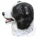 Latex Border Collie Dog Mask
