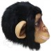 Latex Chimpanzee Mask