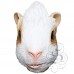 Latex Guinea Pig Mask