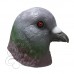 Latex Pigeon Bird Mask