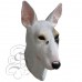 Latex Pit Bull Dog Mask