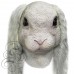 Latex Bunny Mask (with Floppy Ears)