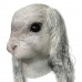 Latex Bunny Mask (with Floppy Ears)