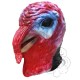 Latex Turkey Bird Mask (Realistic)