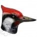 Latex Woodpecker Bird Mask