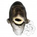 Latex Fish Mask (Realistic)