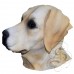 Latex Golden Labrador Dog Mask