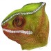 Latex Chameleon Lizard Mask